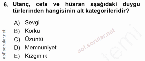 6. soru: Utanç, cefa ve hüsran aşağıdaki duygu türlerinden hangisinin alt kategorileridir? A) Sevgi B) Korku C) Üzüntü D) Memn…