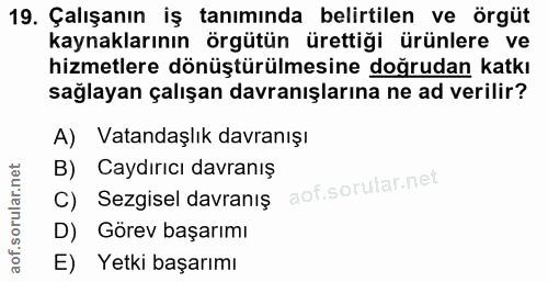 19. soru: Çalışanın iş tanımında belirtilen ve örgüt kaynaklarının örgütün ürettiği ürünlere ve hizmetlere dönüştürülmesine doğ…