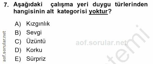7. soru: AşağıdakiR çalışma yeri duygu türlerinden hangisinin alt kategorisi yoktur? A) Kızgınlık B) Sevgi C) Üzüntü D) Korku…