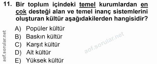 11. soru: Bir toplum içindeki temel kurumlardan en çok desteği alan ve temel inanç sistemlerini oluşturan kültür aşağıdakilerde…
