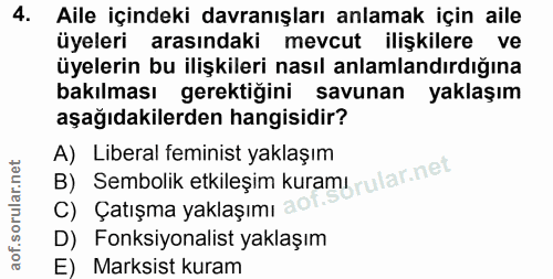 4. soru: Aile içindeki davranışları anlamak için aile üyeleri arasındaki mevcut ilişkilere ve üyelerin bu ilişkileri nasıl anl…