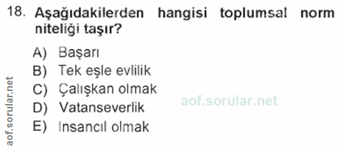 18. soru: Aşağıdakilerden hangisi toplumsal norm niteliği taşır? A) Başarı B) Tek eşle evlilik C) Çalışkan olmak D) Vatanseverl…