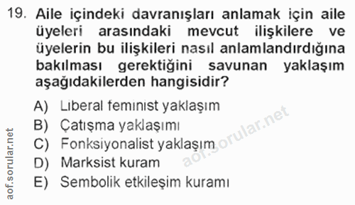 19. soru: Aile içindeki davranışları anlamak için aile üyeleri arasındaki mevcut ilişkilere ve üyelerin bu ilişkileri nasıl anl…