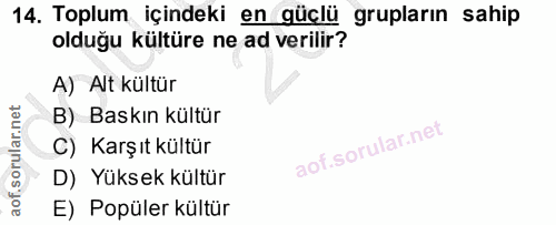 14. soru: Toplum içindeki en güçlü grupların sahip olduğu kültüre ne ad verilir? A) Alt kültür B) Baskın kültür C) Karşıt kültü…