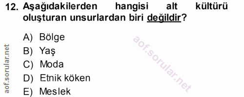 12. soru: Aşağıdakilerden hangisi alt kültürü oluşturan unsurlardan biri değildir? A) Bölge B) Yaş C) Moda i D) Etnik köken E)…