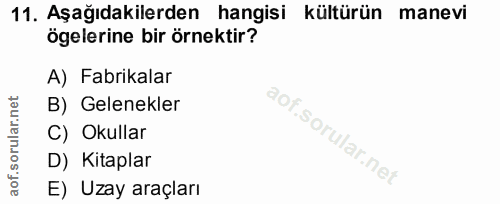11. soru: Aşağıdakilerden hangisi kültürün manevi ögelerine bir örnektir? A) Fabrikalar B) Gelenekler C) Okullar D) Kitaplar E)…