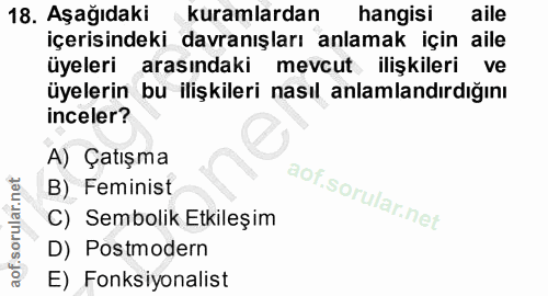 18. soru: Aşağıdaki kuramlardan hangisi aile içerisindeki davranışları anlamak için aile üyeleri arasındaki mevcut ilişkileri v…
