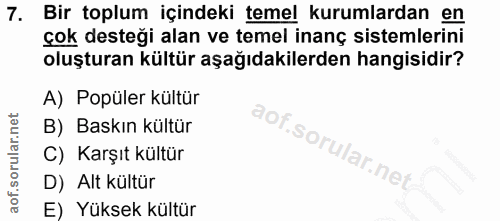 7. soru: Bir toplum içindeki temel kurumlardan en çok desteği alan ve temel inanç sistemlerini oluşturan kültür aşağıdakilerde…