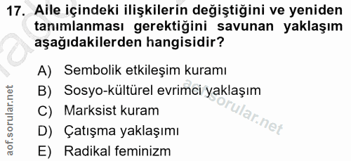 17. soru: Aile içindeki ilişkilerin değiştiğini ve yeniden tanımlanması gerektiğini savunan yaklaşım aşağıdakilerden hangisidir…