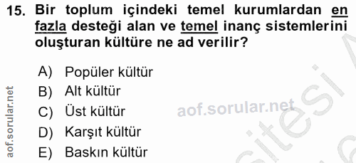 15. soru: Bir toplum içindeki temel kurumlardan en fazla desteği alan ve temel inanç sistemlerini oluşturan kültüre ne ad veril…