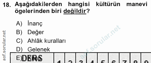 18. soru: Aşağıdakilerden hangisi kültürün manevi ögelerinden biri değildir? A) Inanç B) Değer C) Ahlâk kuralları D) Gelenek E)…