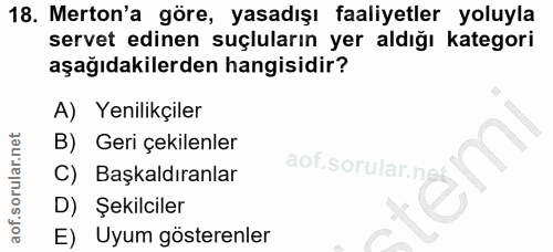 18. soru: Merton'a göre, yasadışı faaliyetler yoluyla servet edinen suçluların yer aldığı kategori aşağıdakilerden hangisidir?…
