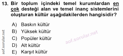 13. soru: Bir toplum içindeki temel kurumlardan en çok desteği alan ve temel inanç sistemlerini oluşturan kültür aşağıdakilerde…