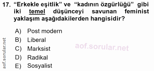 17. soru: "Erkekle eşitlik" ve "kadının özgürlüğü" gibi iki temel düşünceyi savunan feminist yaklaşım aşağıdakilerden hangisidi…