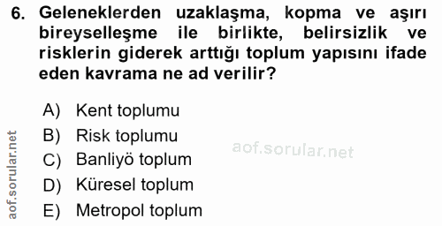 6. soru: Geleneklerden uzaklaşma, kopma ve aşırı bireyselleşme ile birlikte, belirsizlik ve risklerin giderek arttığı toplum y…