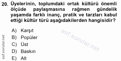 20. soru: Uyelerinin, toplumdaki ortak kültürü önemli ölçüde paylaşmasına rağmen gündelik yaşamda farklı inanç, pratik ve tarzl…