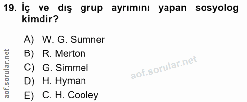 19. soru: İç ve dış grup ayrımını yapan sosyolog kimdir? A) W. G. Sumner B) R. Merton C) G. Simmel D) H. Hyman E) C. H. Cooley