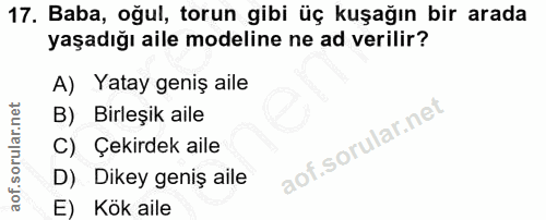 17. soru: Baba, oğul, torun gibi üç kuşağın bir arada yaşadığı aile modeline ne ad verilir? A) Yatay geniş aile B) Birleşik ail…