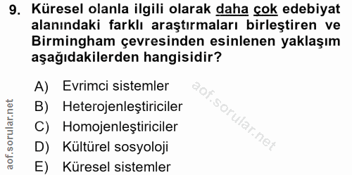 9. soru: Küresel olanla ilgili olarak daha çok edebiyat alanındaki farklı araştırmaları birleştiren ve Birmingham çevresinden…
