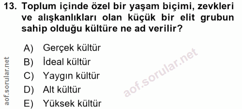 13. soru: Toplum içinde özel bir yaşam biçimi, zevkleri ve alışkanlıkları olan küçük bir elit grubun sahip olduğu kültüre ne ad…