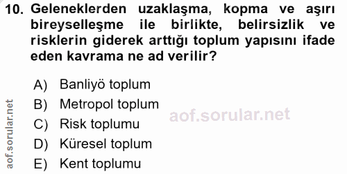 10. soru: Geleneklerden uzaklaşma, kopma ve aşırı bireyselleşme ile birlikte, belirsizlik ve risklerin giderek arttığı toplum y…