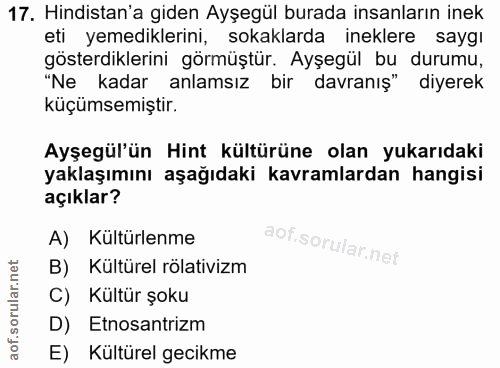 17. soru: Hindistan'a giden Ayşegül burada insanların inek eti yemediklerini, sokaklarda ineklere saygı gösterdiklerini görmüşt…