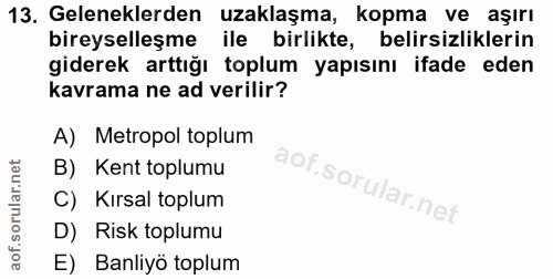 13. soru: Geleneklerden uzaklaşma, kopma ve aşırı bireyselleşme ile birlikte, belirsizliklerin giderek arttığı toplum yapısını…