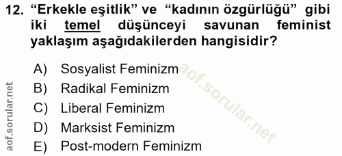 12. soru: "Erkekle eşitlik" ve "kadının özgürlüğü" gibi iki temel düşünceyi savunan feminist yaklaşım aşağıdakilerden hangisidi…