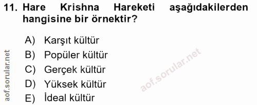 11. soru: Hare Krishna Hareketi aşağıdakilerden hangisine bir örnektir? A) Karşıt kültür B) Popüler kültür C) Gerçek kültür D)…