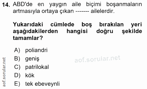 14. soru: ABD'de en yaygın aile biçimi boşanmaların artmasıyla ortaya çıkan ------ ailelerdir. Yukarıdaki cümlede boş bırakılan…