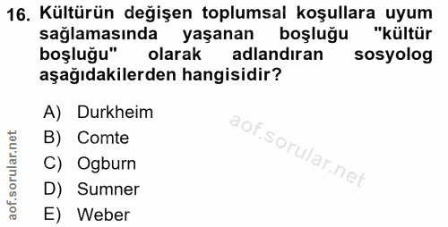 16. soru: Kültürün değişen toplumsal koşullara uyum sağlamasında yaşanan boşluğu "kültür boşluğu" olarak adlandıran sosyolog aş…