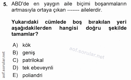 5. soru: ABD'de en yaygın aile biçimi boşanmaların artmasıyla ortaya çıkan —_- -- ailelerdir. Yukarıdaki cümlede boş bırakılan…