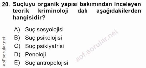 20. soru: Suçluyu organik yapısı bakımından inceleyen teorik kriminoloji dalı aşağıdakilerden hangisidir? A) Suç sosyolojisi ar…