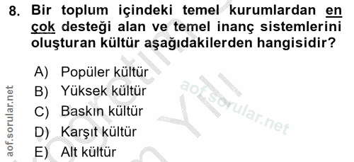 8. soru: Bir toplum içindeki temel kurumlardan en çok desteği alan ve temel inanç sistemlerini oluşturan kültür aşağıdakilerde…