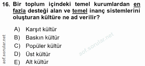 16. soru: Bir toplum içindeki temel kurumlardan en fazla desteği alan ve temel inanç sistemlerini oluşturan kültüre ne ad veril…
