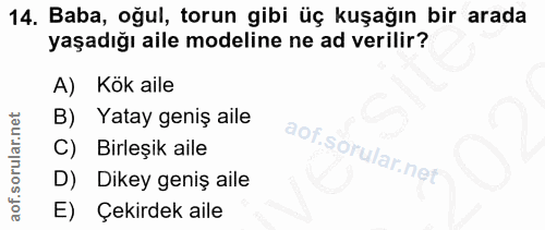 14. soru: Baba, oğul, torun gibi üç kuşağın bir arada yaşadığı aile modeline ne ad verilir? A) Kök aile B) Yatay geniş aile C)…