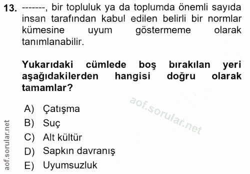 13. soru: --, bir topluluk ya da toplumda önemli sayıda insan tarafından kabul edilen belirli bir normlar kümesine uyum gösterm…