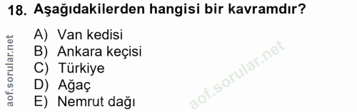 18. soru: Aşağıdakilerden hangisi bir kavramdır? A) Van kedisi B) Ankara keçisi C) Türkiye D) Ağaç E) Nemrut dağı
