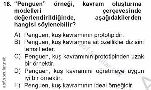 16. soru: "Penguen" örneği, kavram oluşturma modelleri çerçevesinde değerlendirildiğinde, aşağıdakilerden hangisi söylenebilir?…