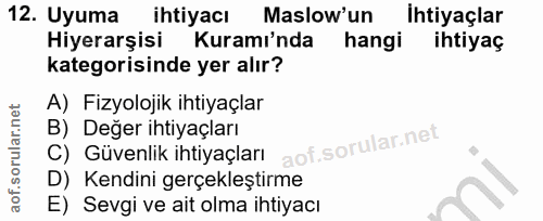12. soru: Uyuma ihtiyacı Maslow'un Ihtiyaçlar Hiyerarşisi Kuramı'nda hangi ihtiyaç kategorisinde yer alır? A) Fizyolojik ihtiya…