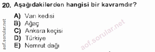 20. soru: Aşağıdakilerden hangisi bir kavramdır? A) Van kedisi B) Ağaç Ankara keçisı D) Türkiye E) Nemrut dağı