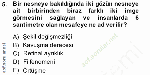 5. soru: Bir nesneye bakıldığında iki gözün nesneye ait birbirinden biraz farklı iki imge görmesini sağlayan ve insanlarda 6 s…