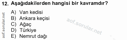 12. soru: Aşağıdakilerden hangisi bir kavramdır? A) Van kedisi B) Ankara keçisi C) Ağaç D) Türkiye E) Nemrut dağı