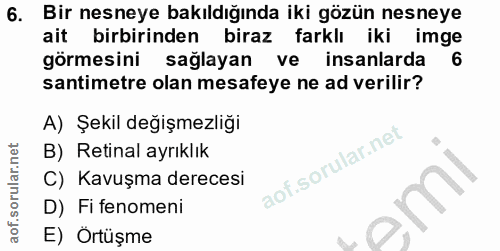 6. soru: Bir nesneye bakıldığında iki gözün nesneye ait birbirinden biraz farklı iki imge görmesini sağlayan ve insanlarda 6 s…