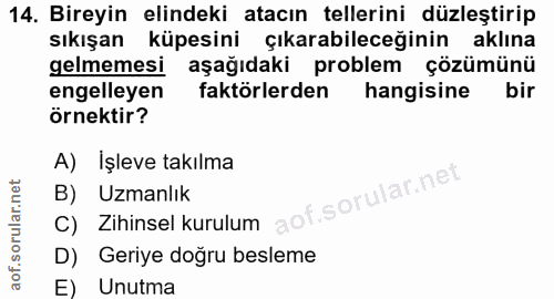 14. soru: Bireyin elindeki atacın tellerini düzleştirip sıkışan küpesini çıkarabileceğinin aklına gelmemesi aşağıdaki problem ç…