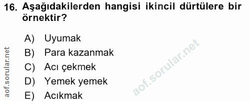16. soru: Aşağıdakilerden hangisi ikincil dürtülere bir örnektir? A) Uyumak B) Para kazanmak C) Acı çekmek D) Yemek yemek E) Ac…