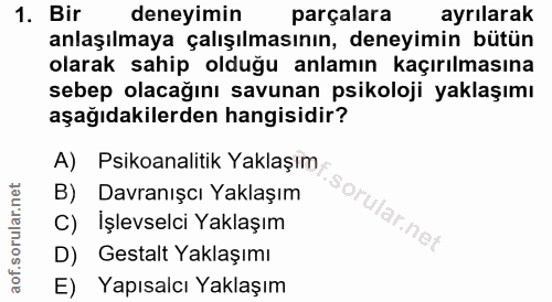 1. soru: Bir deneyimin parçalara ayrılarak anlaşılmaya çalışılmasının, deneyimin bütün olarak sahip olduğu anlamın kaçırılması…