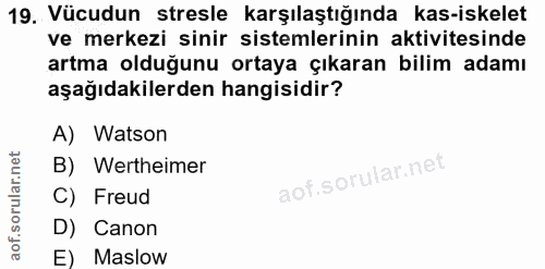 19. soru: Vücudun stresle karşılaştığında kas-iskelet ve merkezi sinir sistemlerinin aktivitesinde artma olduğunu ortaya çıkara…