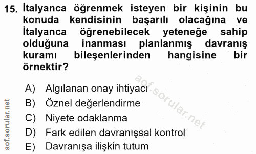 15. soru: Italyanca öğrenmek isteyen bir kişinin bu konuda kendisinin başarılı olacağına ve İtalyanca öğrenebilecek yeteneğe sa…