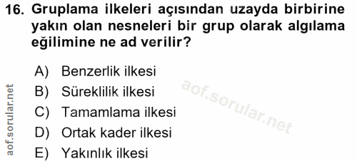 16. soru: Gruplama ilkeleri açısından uzayda birbirine yakın olan nesneleri bir grup olarak algılama eğilimine ne ad verilir? A…